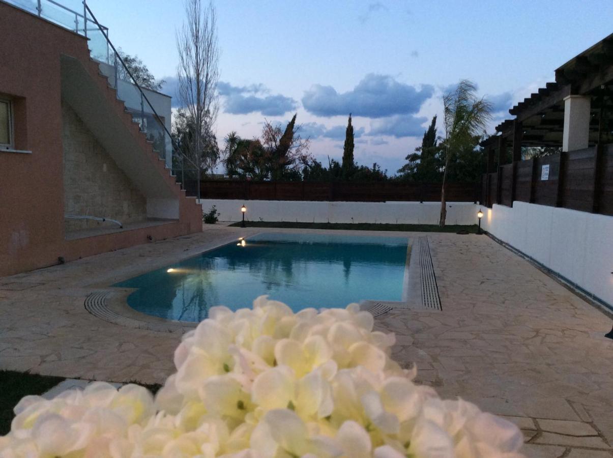 Dream House Latchi Villa Polis Dış mekan fotoğraf